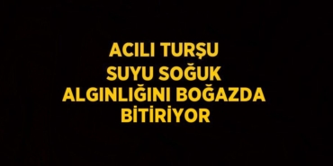 21955201782132330924tasarimli