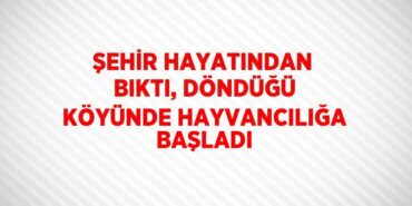 21955253262170725670tasarimli