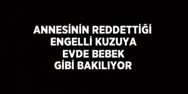 21960283752842027735tasarimli