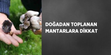 21963285542519327697