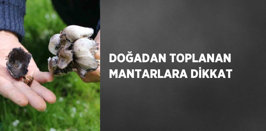 21963285542519327697