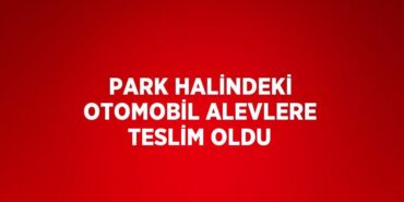 21964250272535022548tasarimli