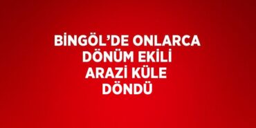 21966246152312226895tasarimli