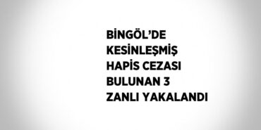 21972206572871630407