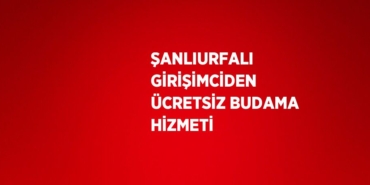 21972313142413624441