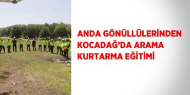 21975213752861830648