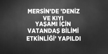 21978280573157430734tasarimli