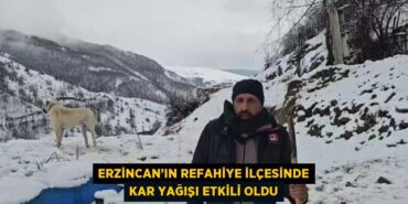 21989211493011521847tasarimli
