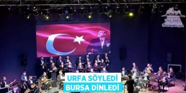 21989277153166228635tasarimli