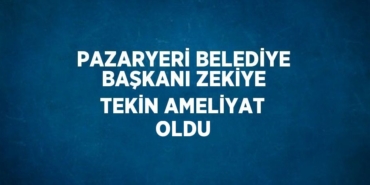 21991267342363931362tasarimli