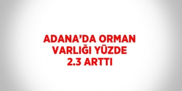 21997239842579627845tasarimli