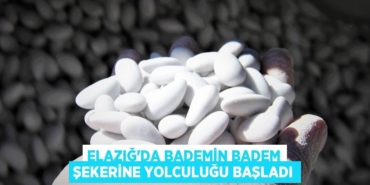 22005313942474828487tasarimli