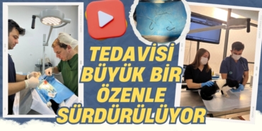 22012269762467323083