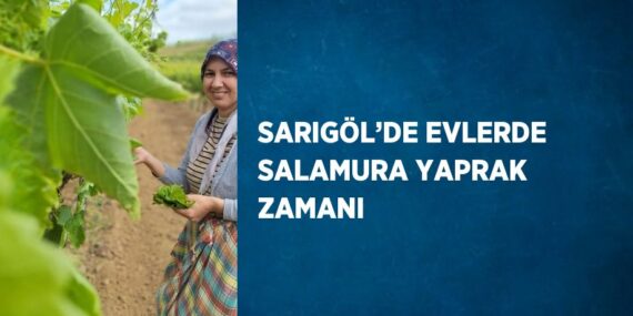 SARIGÖL’DE EVLERDE SALAMURA YAPRAK ZAMANI