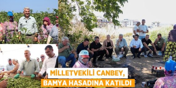 Milletvekili Canbey, bamya hasadına katıldı