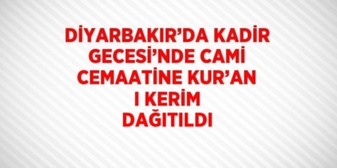 22026253082277731010tasarimli