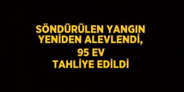 22033232972407824793tasarimli