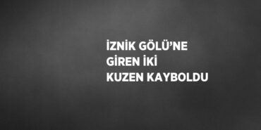 22033240202536520382