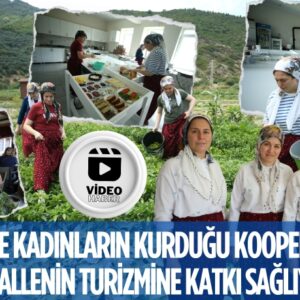 22039305482144628382