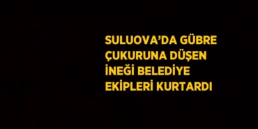22040317652160429730