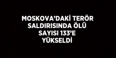 22044228572924731217tasarimli