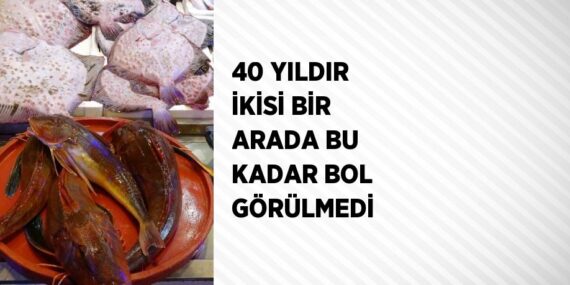 40 YILDIR İKİSİ BİR ARADA BU KADAR BOL GÖRÜLMEDİ