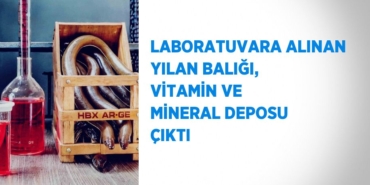 22044250402498920067