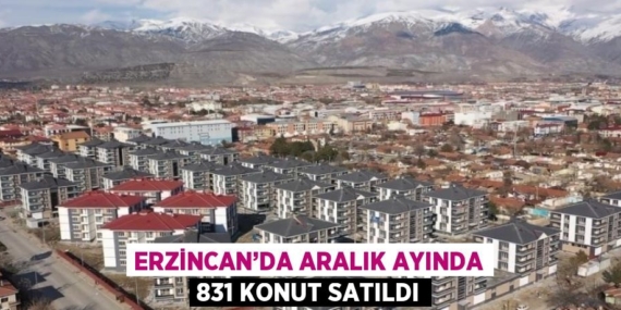 ERZİNCAN’DA ARALIK AYINDA 831 KONUT SATILDI