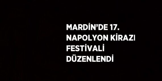 MARDİN’DE 17. NAPOLYON KİRAZI FESTİVALİ DÜZENLENDİ