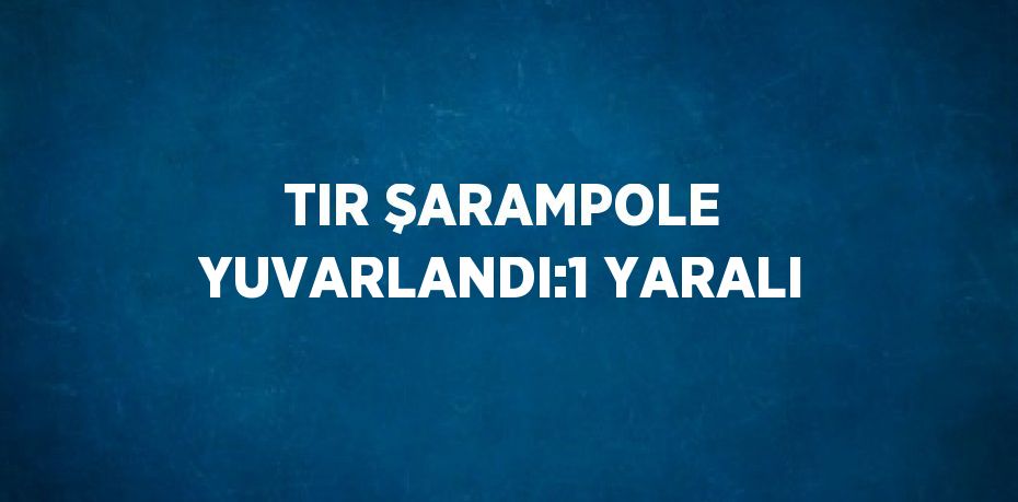 22049265922759527207tasarimli