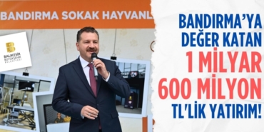 22050264473132322594