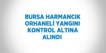 22056223843192631255tasarimli