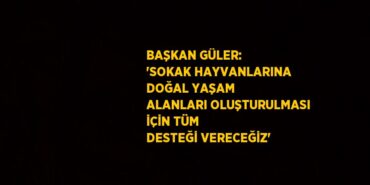 22065268712286822319