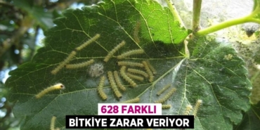 22067276092217530780tasarimli