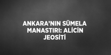 22068259643099228510tasarimli