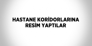 22074272102579820902tasarimli