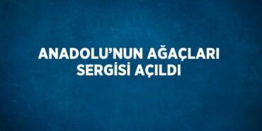 22079224982832624107tasarimli