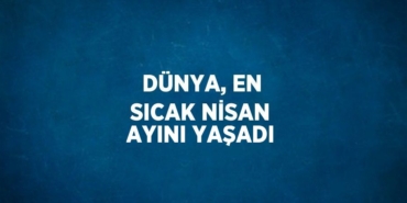 22081281612779426479tasarimli