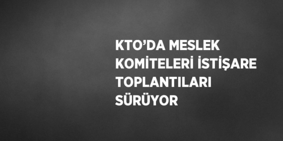 KTO’DA MESLEK KOMİTELERİ İSTİŞARE TOPLANTILARI SÜRÜYOR