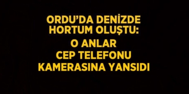 22084288752769922782tasarimli