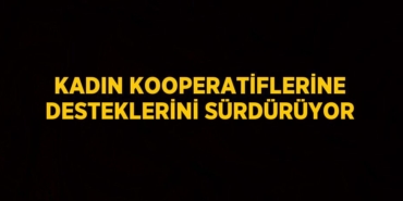 22101229612645830960tasarimli