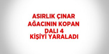 22107307292077424883tasarimli