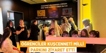 22110236452392529634tasarimli