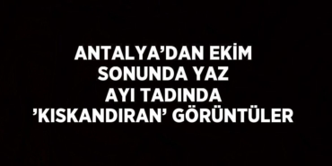 22125254242290626040tasarimli