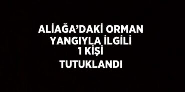 22126282692718424447tasarimli