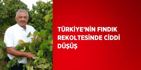 TÜRKİYE’NİN FINDIK REKOLTESİNDE CİDDİ DÜŞÜŞ