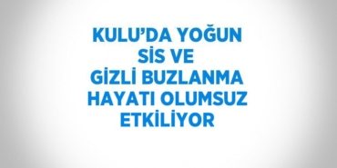 22128316602985929979tasarimli
