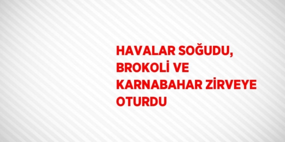HAVALAR SOĞUDU, BROKOLİ VE KARNABAHAR ZİRVEYE OTURDU