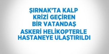 22139309442683822524tasarimli