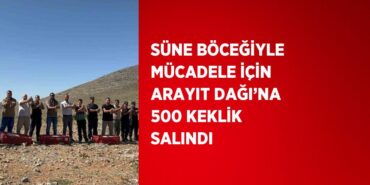 22142235242630125858